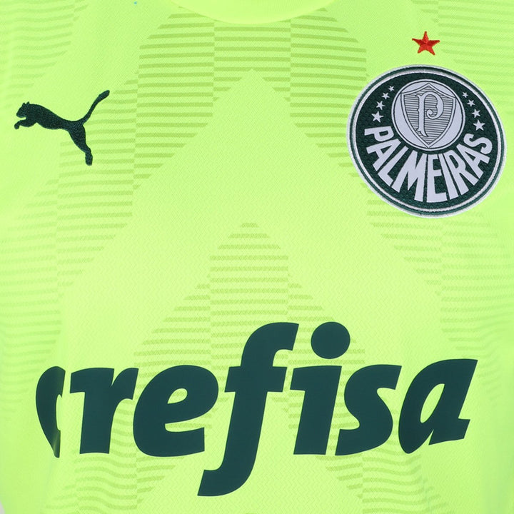 Camisa do Palmeiras Goleiro II 22/23