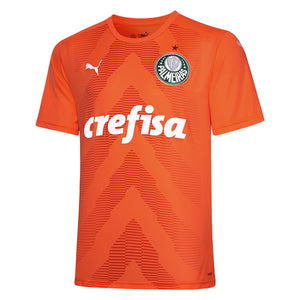 Camisa do Palmeiras Goleiro III 22/23